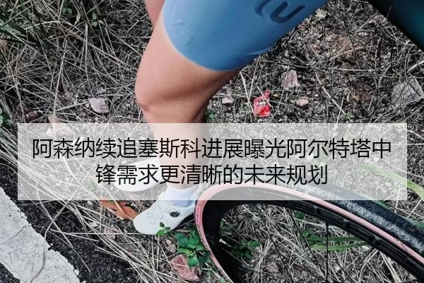 阿森纳续追塞斯科进展曝光阿尔特塔中锋需求更清晰的未来规划